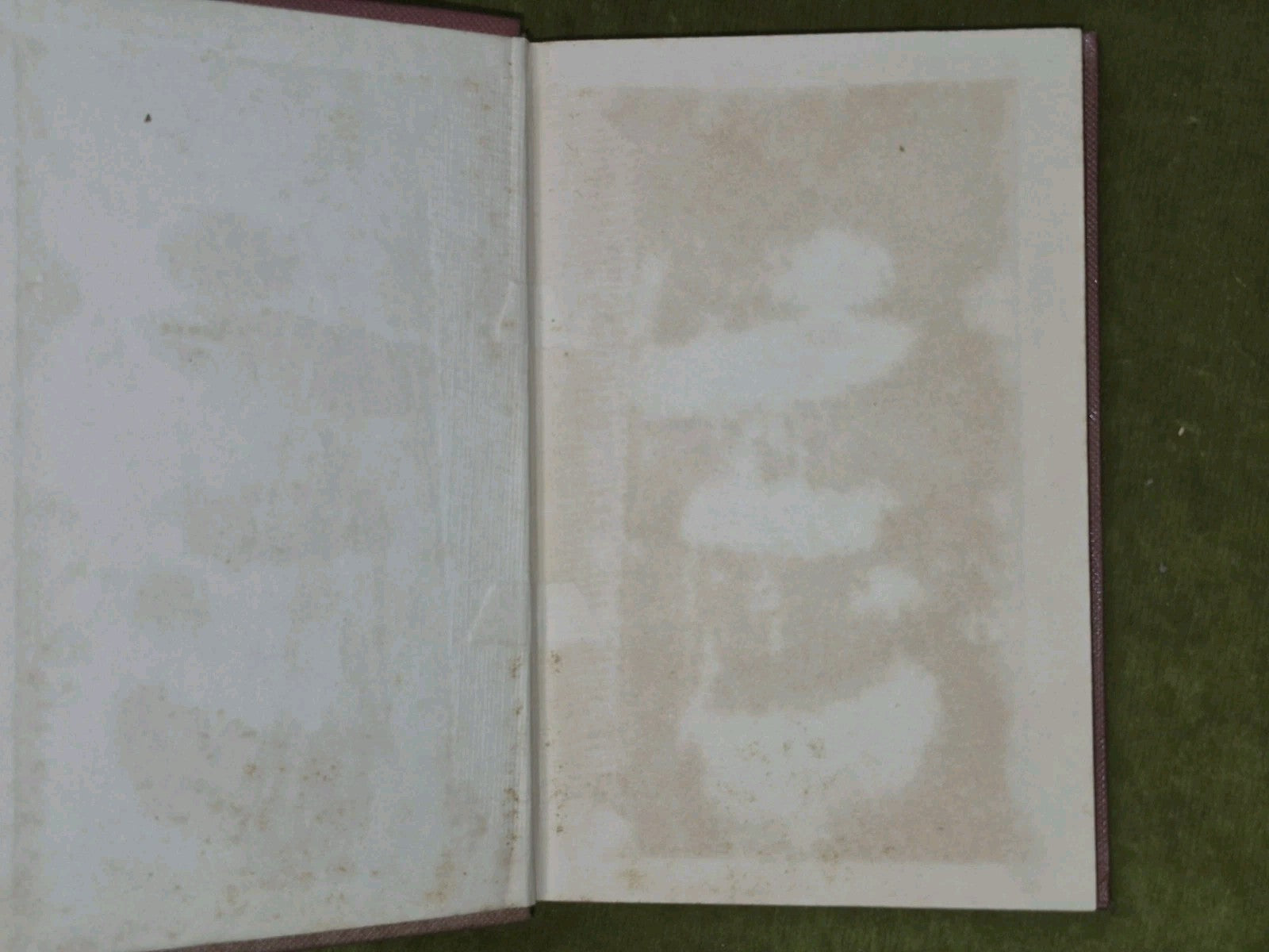 An Duanaire Donald Macpherson 1868 First Ed. Gaelic Songs and Poems2