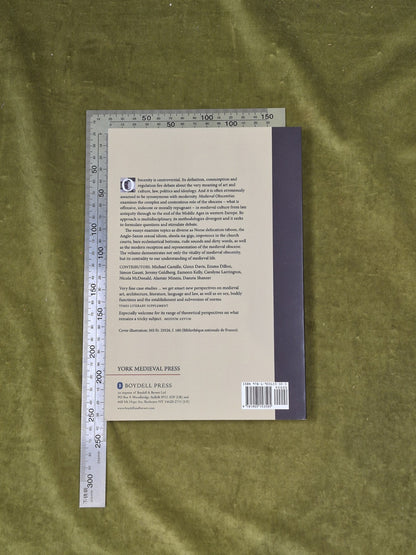 Medieval Obscenities by Nicola McDonald (ed) , York Medieval Press 20141
