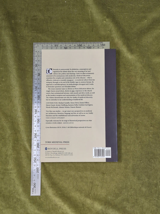 Medieval Obscenities by Nicola McDonald (ed) , York Medieval Press 20141