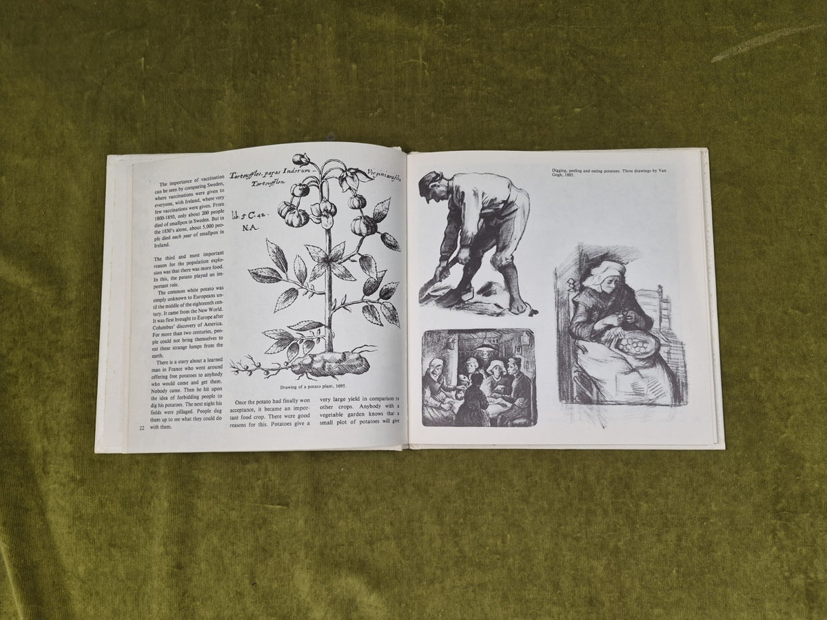 America Fever : The Dream of America by Sven Skovmand Creative Education 19824