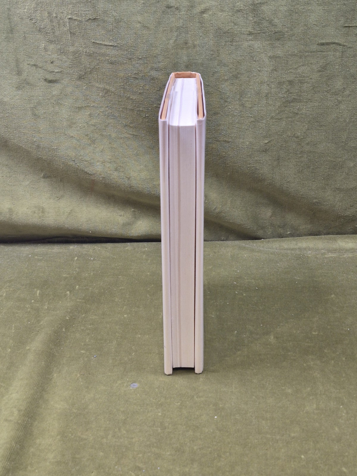 The Clam-Plate Orgy - Wilson Bryan Key , Prentice Halll 1980 1st/2nd 1980 Ex Lib8