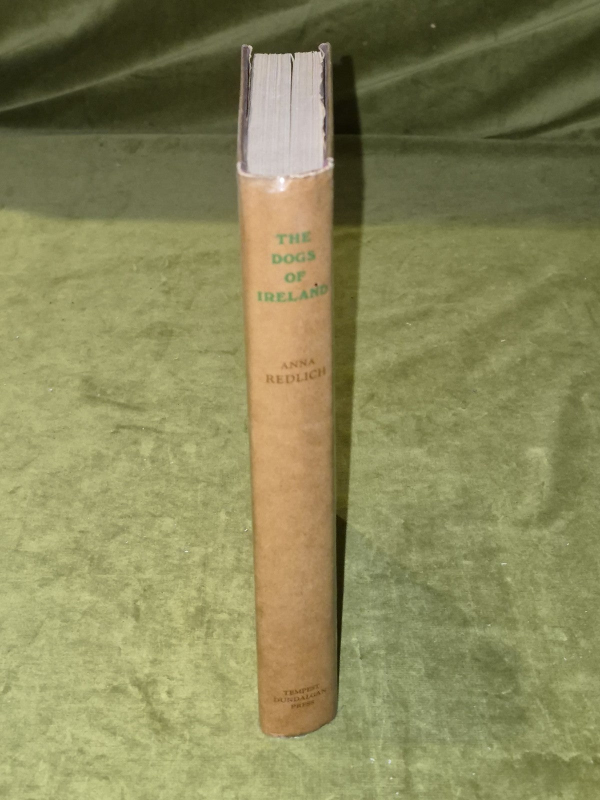 The Dogs of Ireland – 1st Ed 1949 – Anna Redlich – Irish Breeds – w/ Dust Jacket2