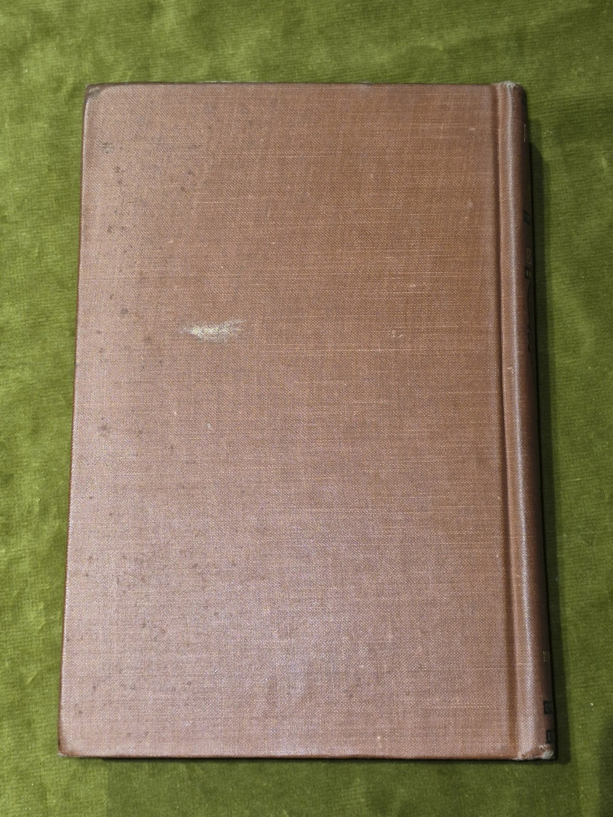 The Wild Man of the West (c. 1900) Ballantyne2