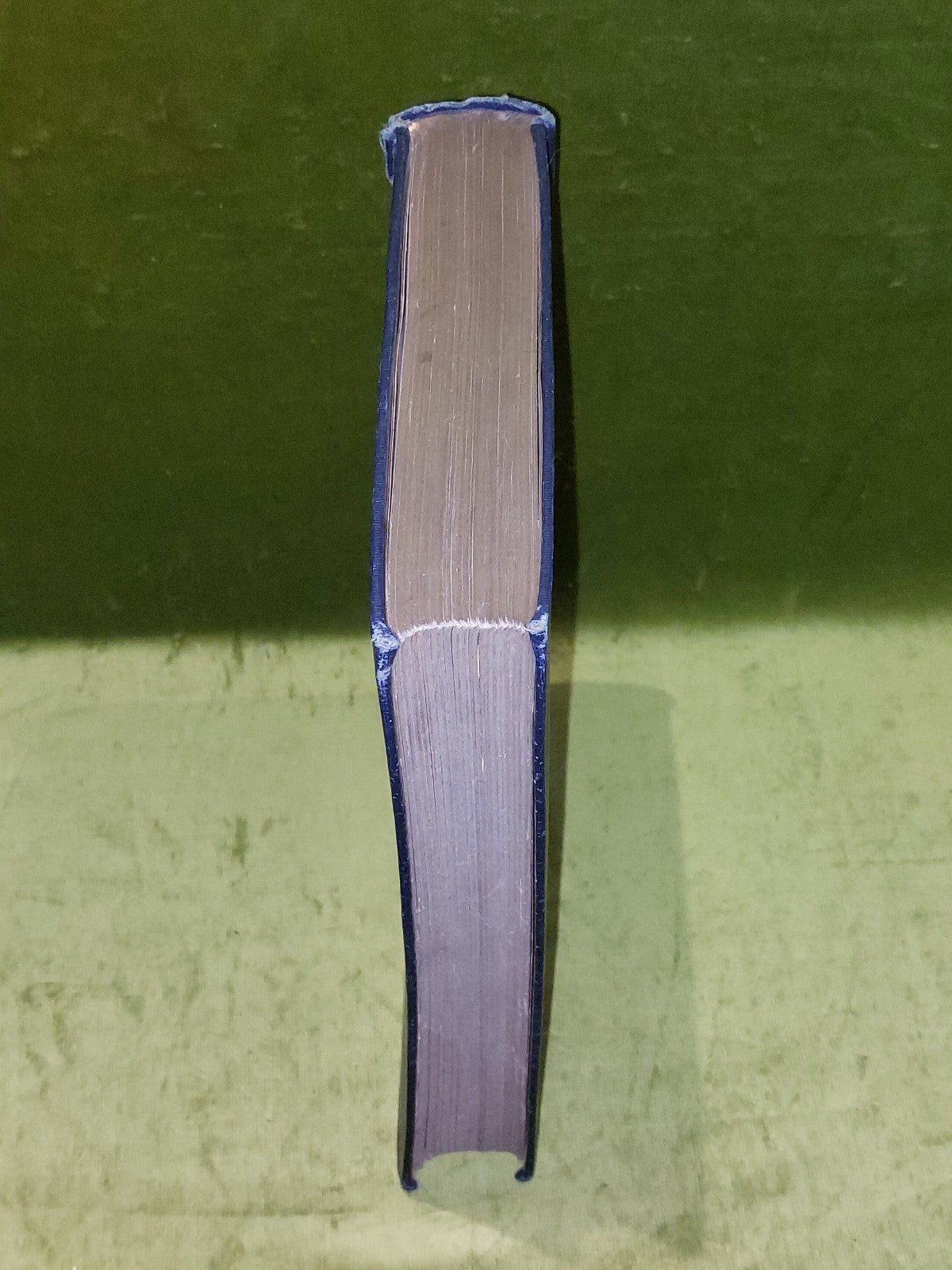 Gulliver's Travels  Arthur Rackham colour illustrations J M Dent (1909) Hb Book1