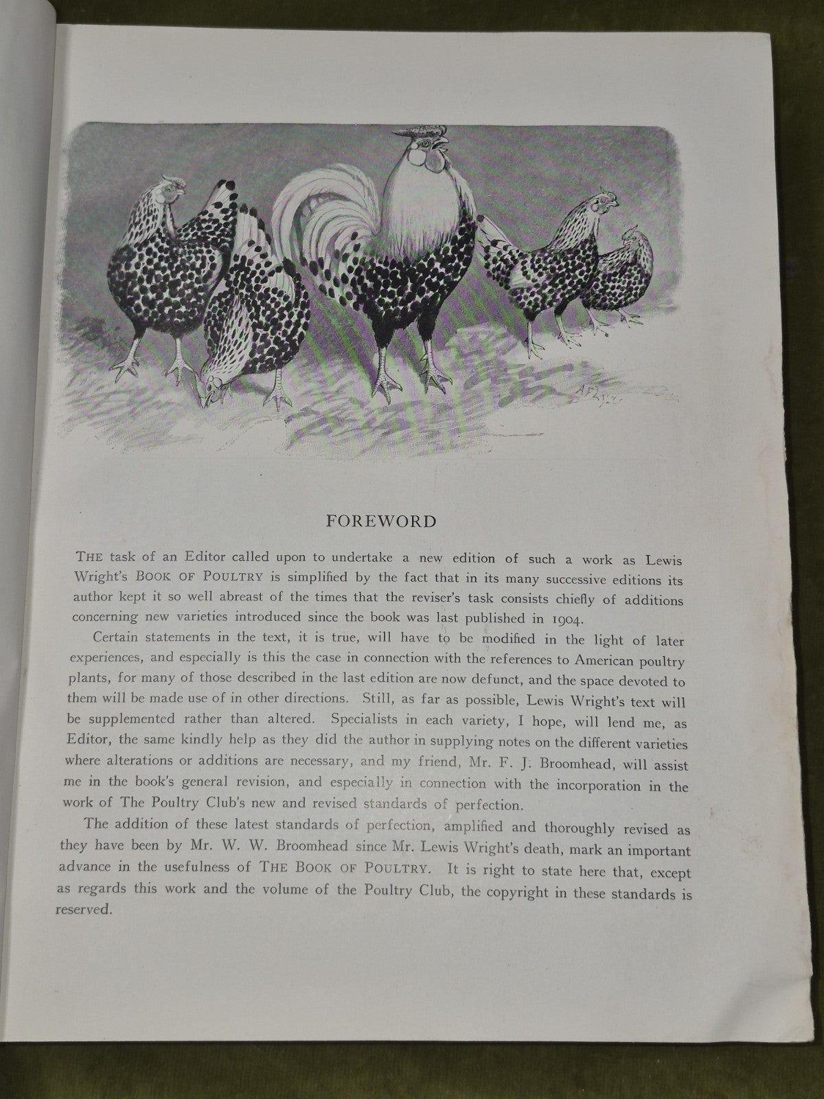 Wright's Book of Poultry Lewer Cassell and Company6