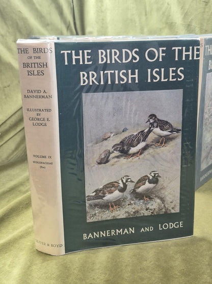 Bannerman The Birds of the British Isles Ornithology  12 Vols 1st Editions DJ12