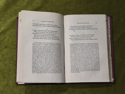 Woodnotes of a Wanderer - John Ramsay - 1865 1st Edition5