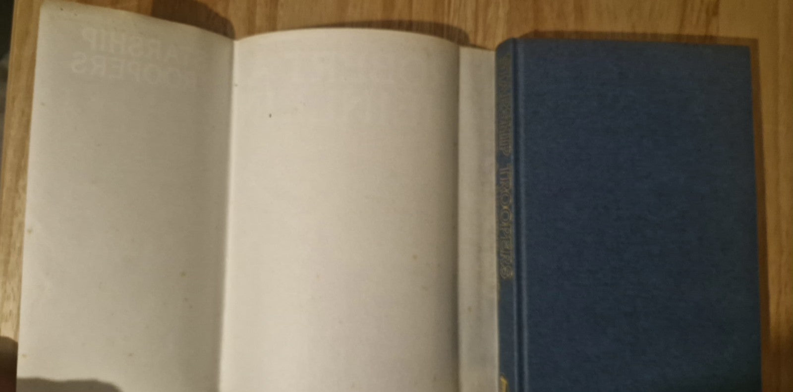 Starship Troopers by Robert A. Heinlein 1st UK Hardback Edition 1975. Dustjacket10