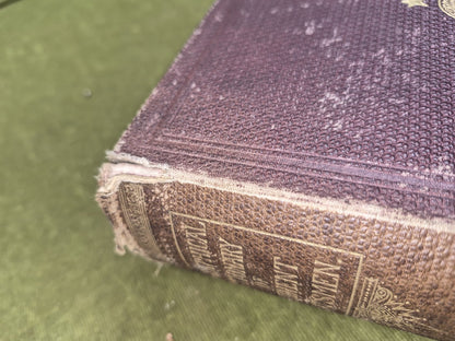 A Biographical Dictionary of Eminent Scotsmen Thomas Thomson 1868 Blackie4