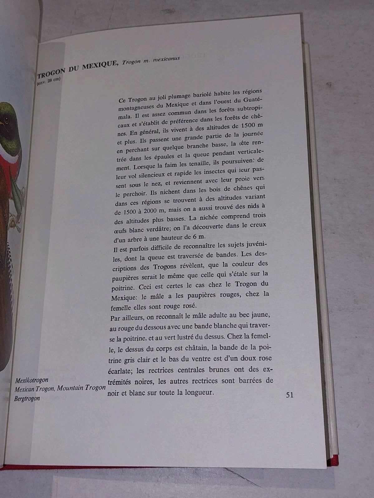 Oiseaux de l'Amérique du SudBy A. Rutgers [Vol. 1&2] Hb Books8