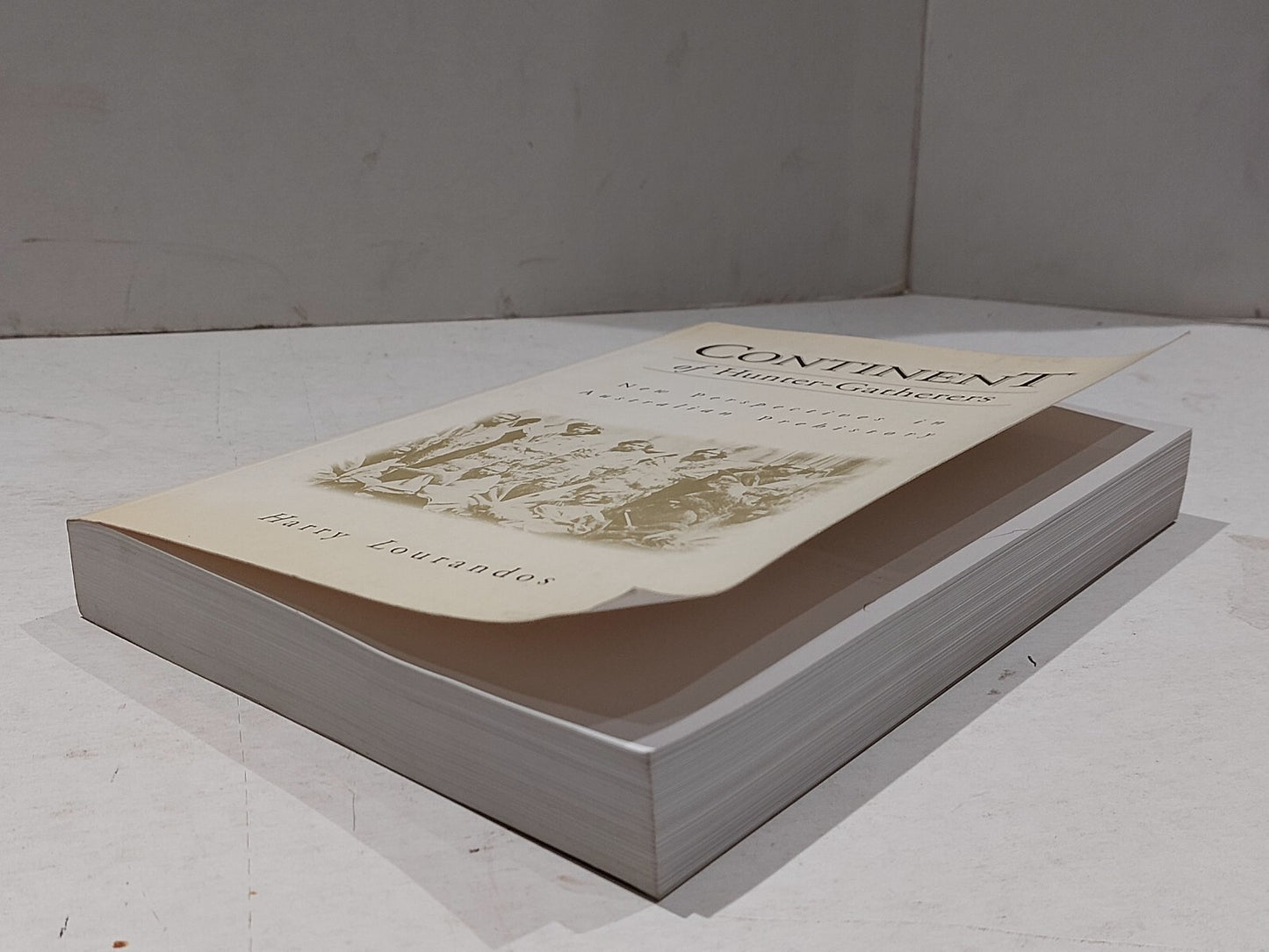 Continent of HunterGatherers By Harry Lourandos (1997) Pb Book4