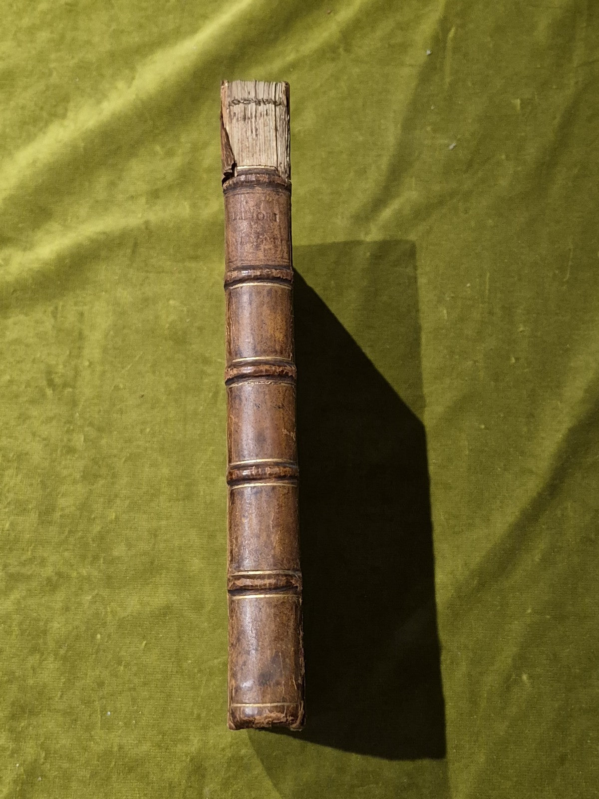 Le Vite dei Pittori Scultori et Architetti Veronesi - 1743 antiquarian hardcover3
