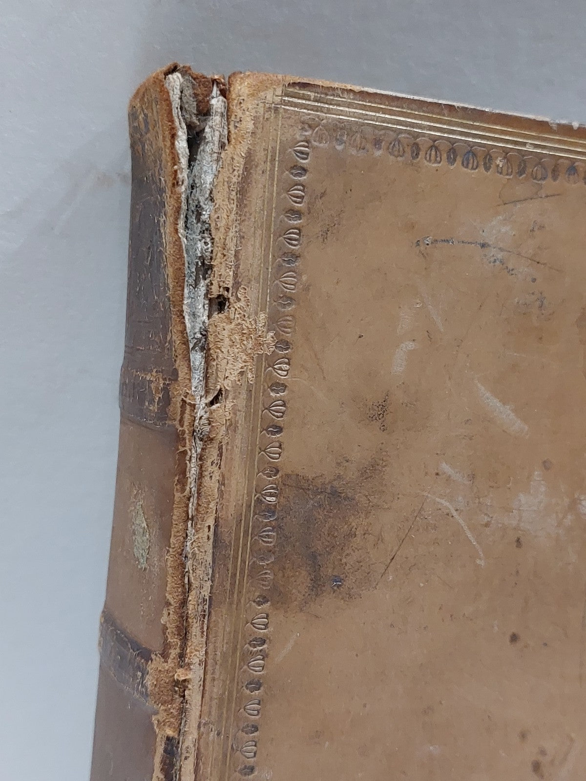 The Works Of Samuel Johnson Complete Set Of 12 Twelve Volumes (1824) Leather8