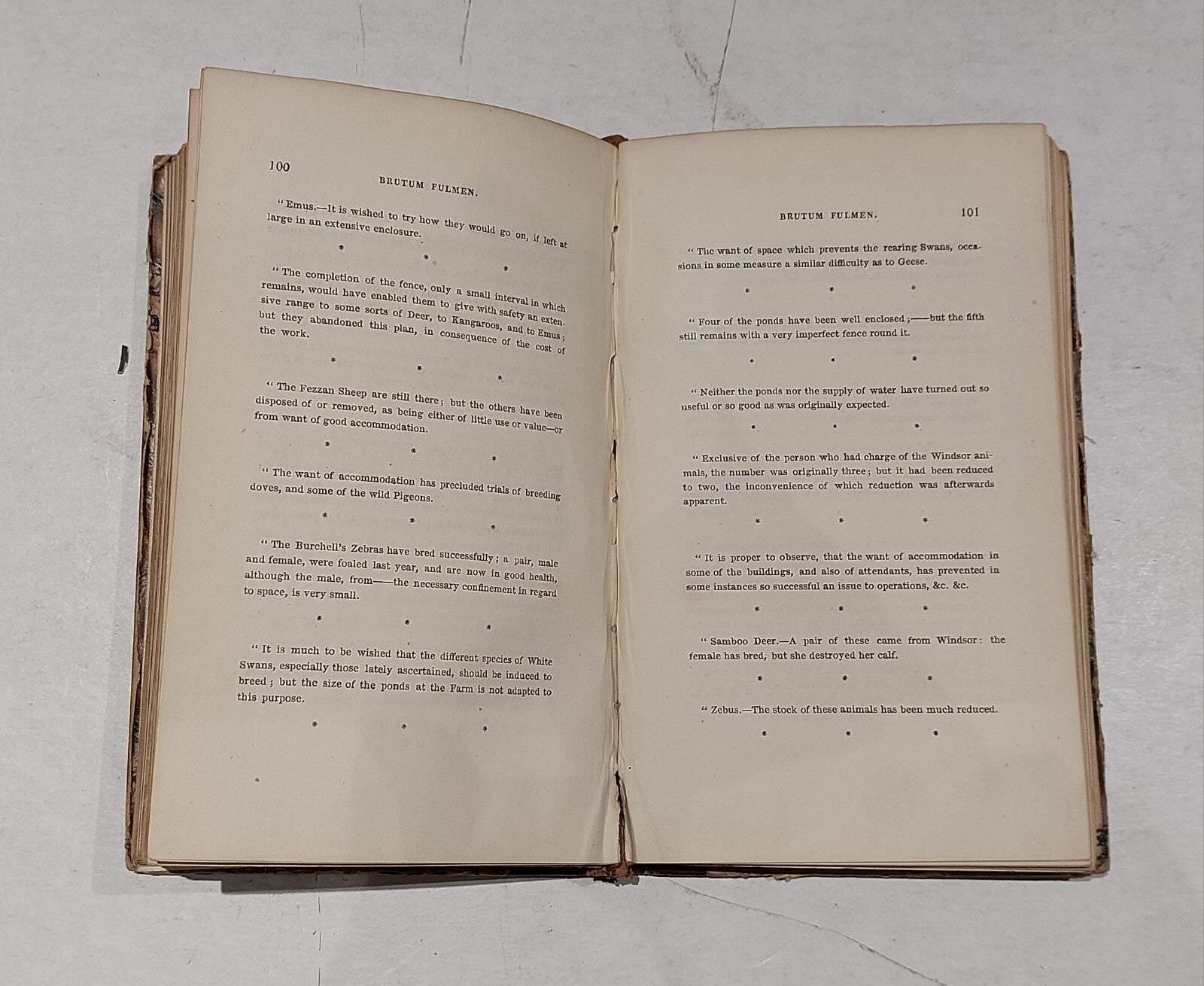 The Comic Annual By Thomas Hood, Charles Tilt (1833) Hb Book3