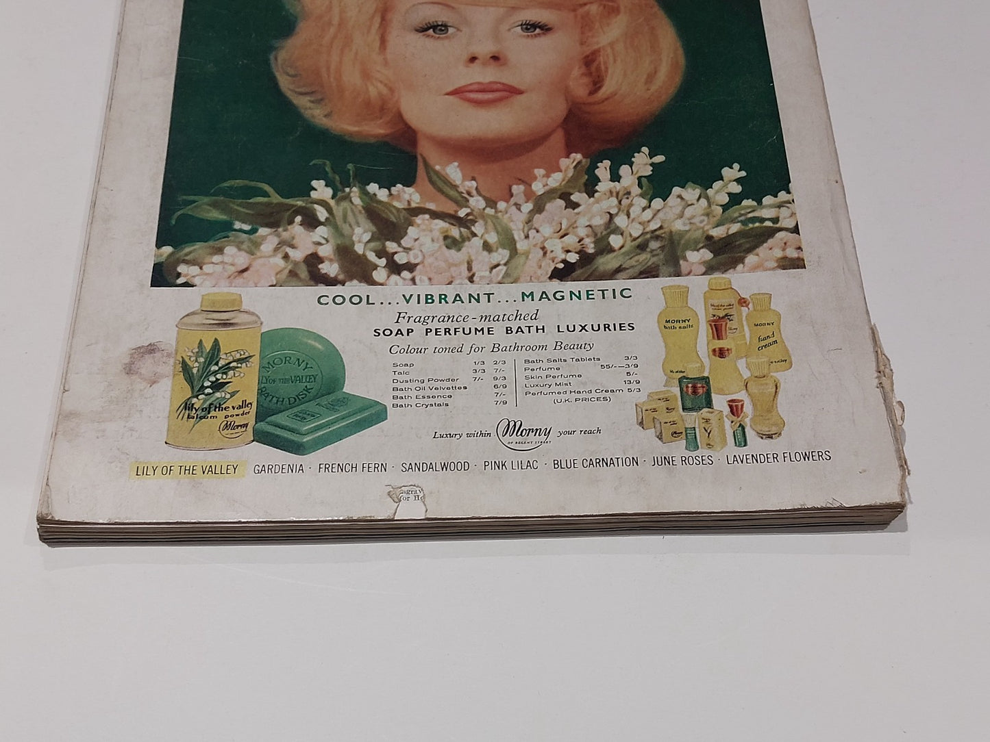 VOGUE Magazine: May 1963  Jean Shrimpton 3