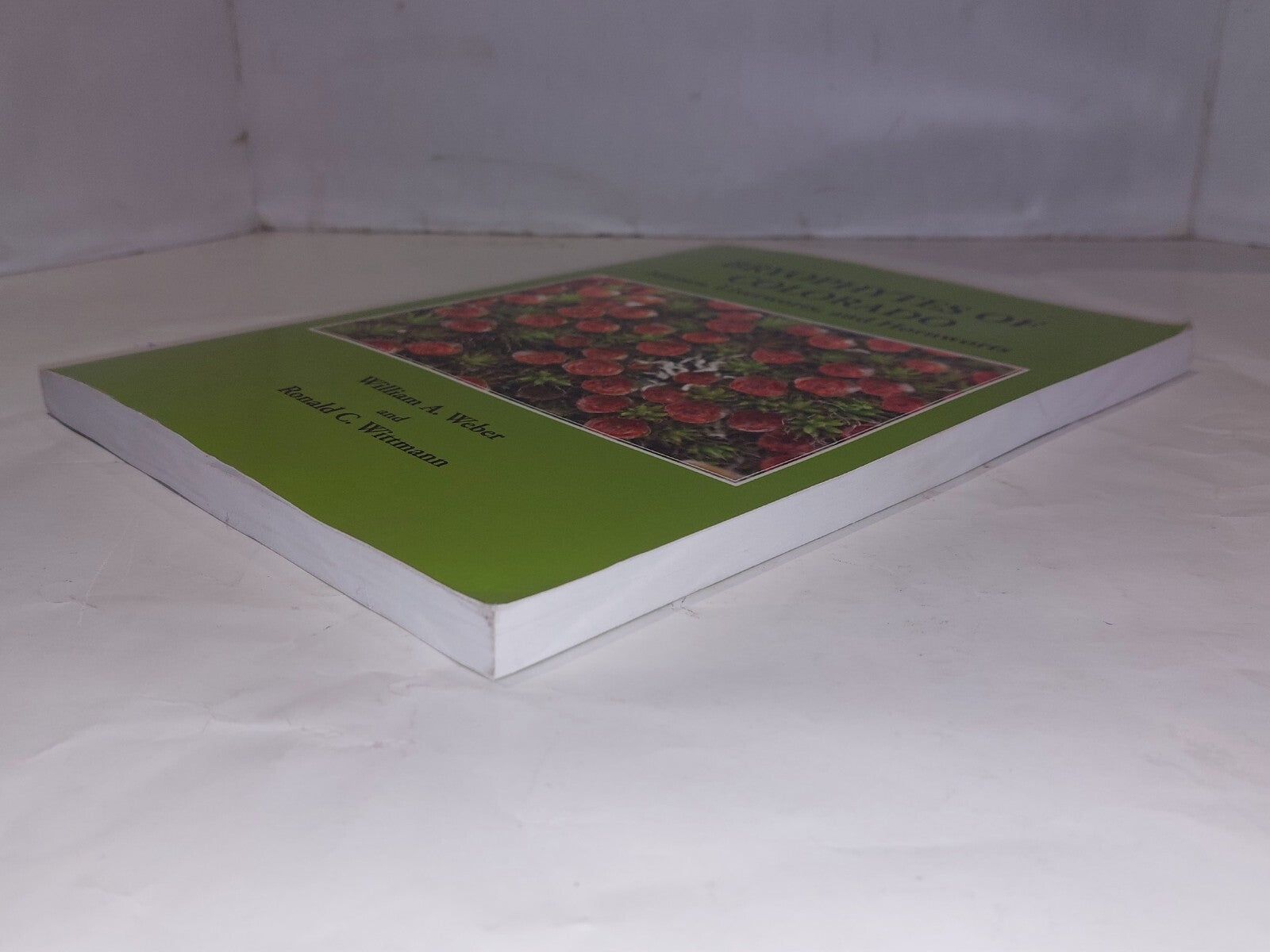 Bryophytes of Colorado: Mosses, Liverworts, and Hornworts, Weber & Wittmann 20063