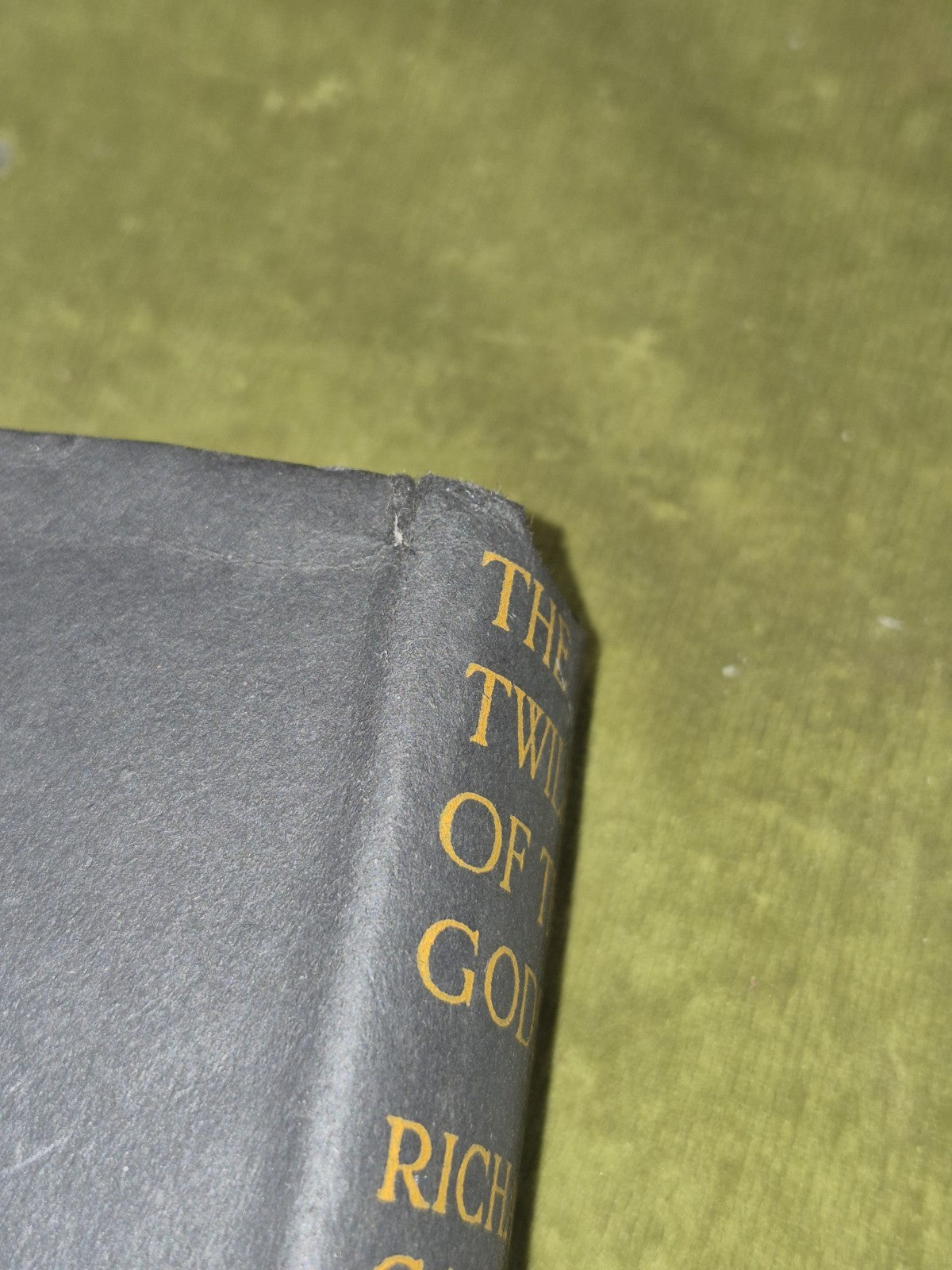 The twilight of the Gods and other tales Richard Garnett John Lane illus 1924 DJ3