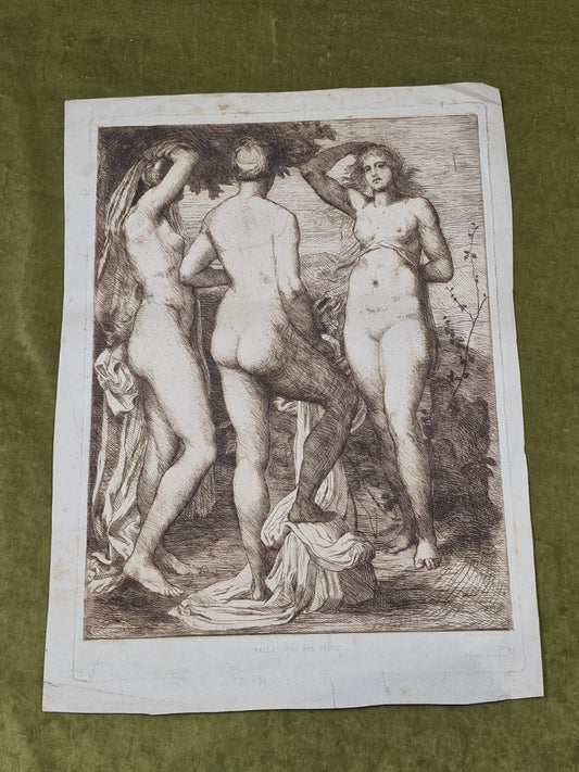 Joseph Benwell Clark Pallas Juno and Venus Etching George Frederick Watts 18800