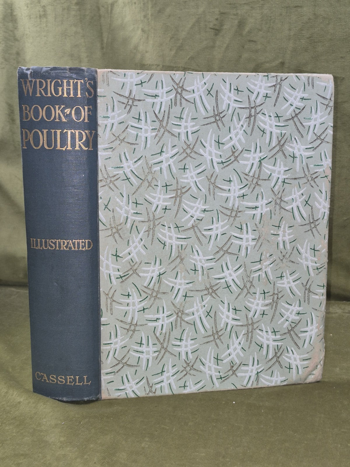 Wright's Book of Poultry Lewer Cassell and Company0