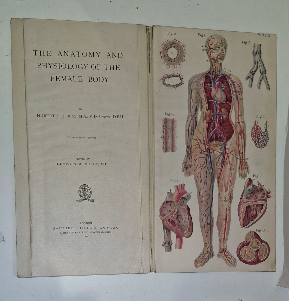1921 Baillieres Atlas & Anatomy Of The Female Human Body. Swedish Massage Inst.4