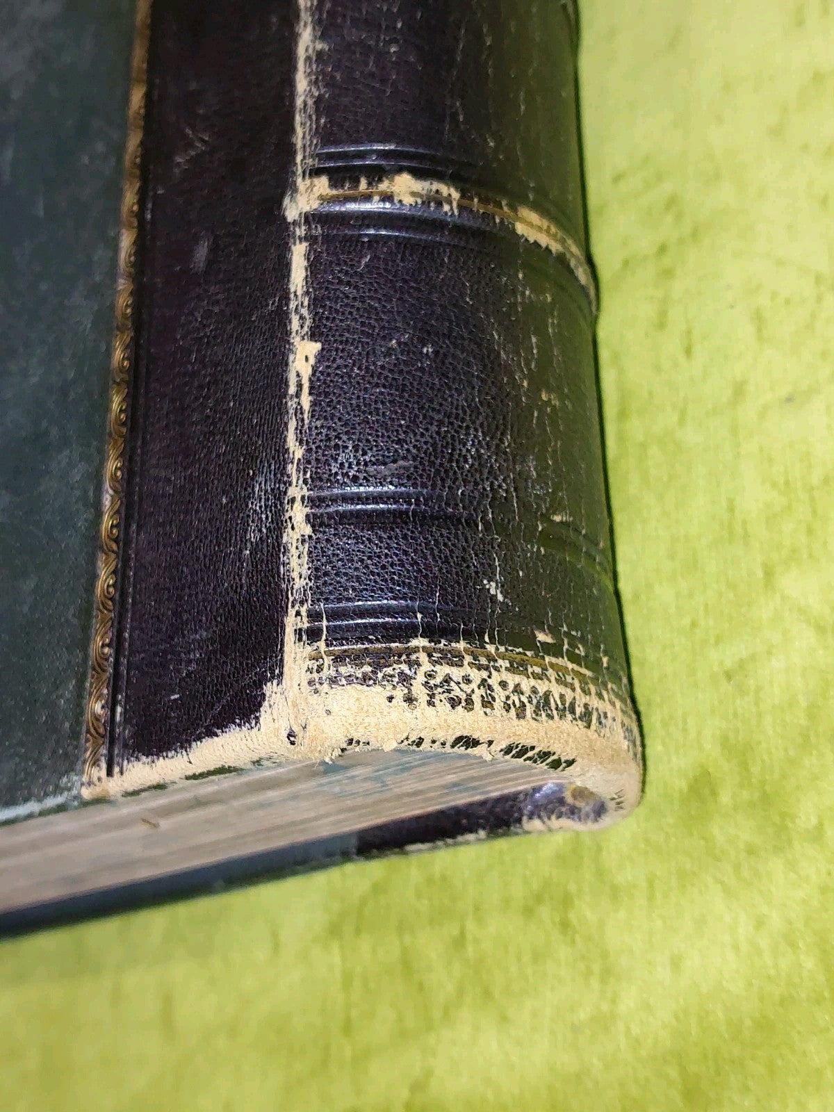 c1880 Life And Explorations Of Dr Livingstone Illustrated Tinted Lithographs5