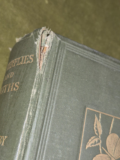 Butterflies & Moths of the United Kingdom Egmont Kirby First Edition Routledge 3