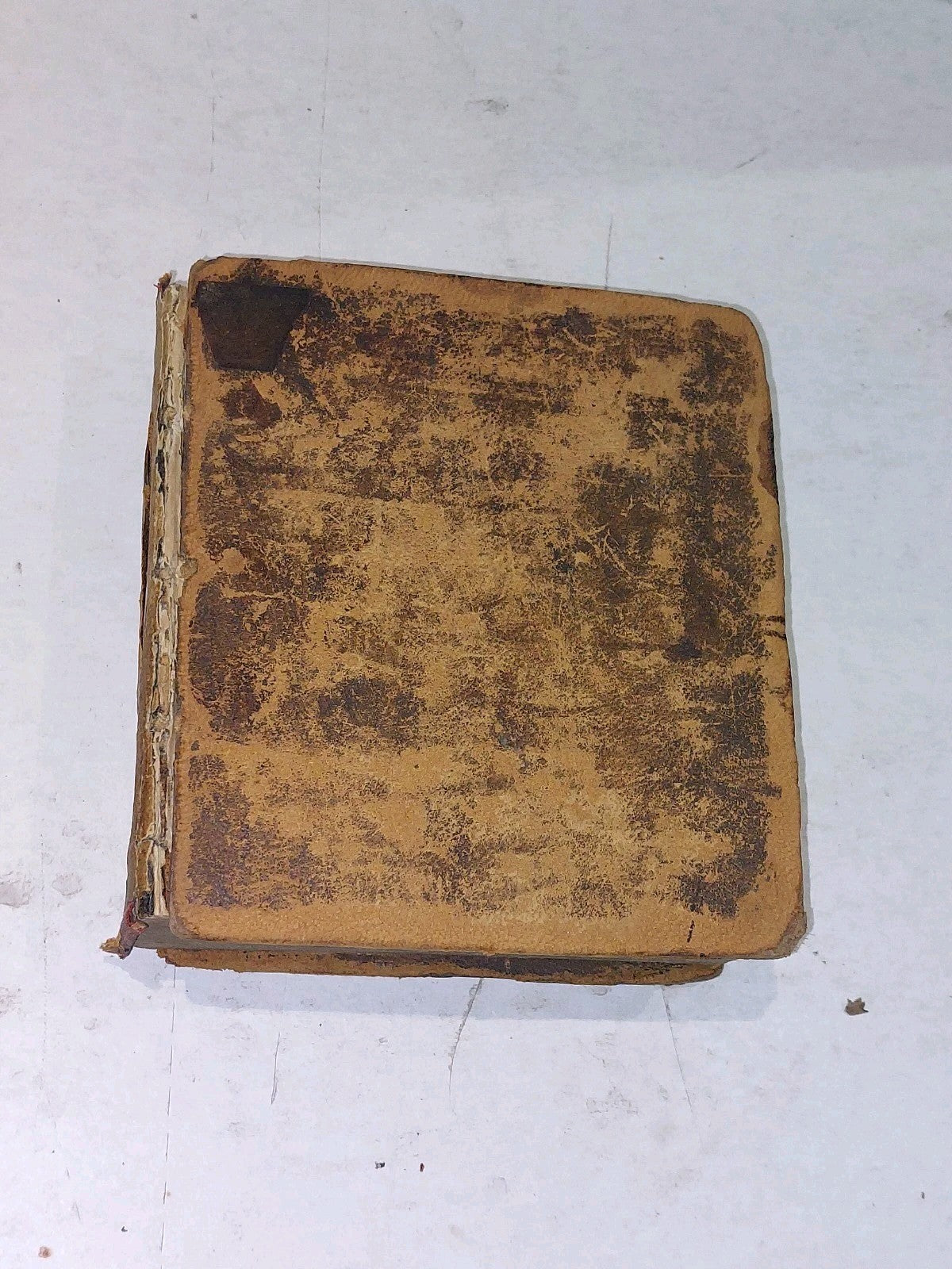 1797 Chambaud's Dictionary French and English, Perrin & Moysant Hb Book4