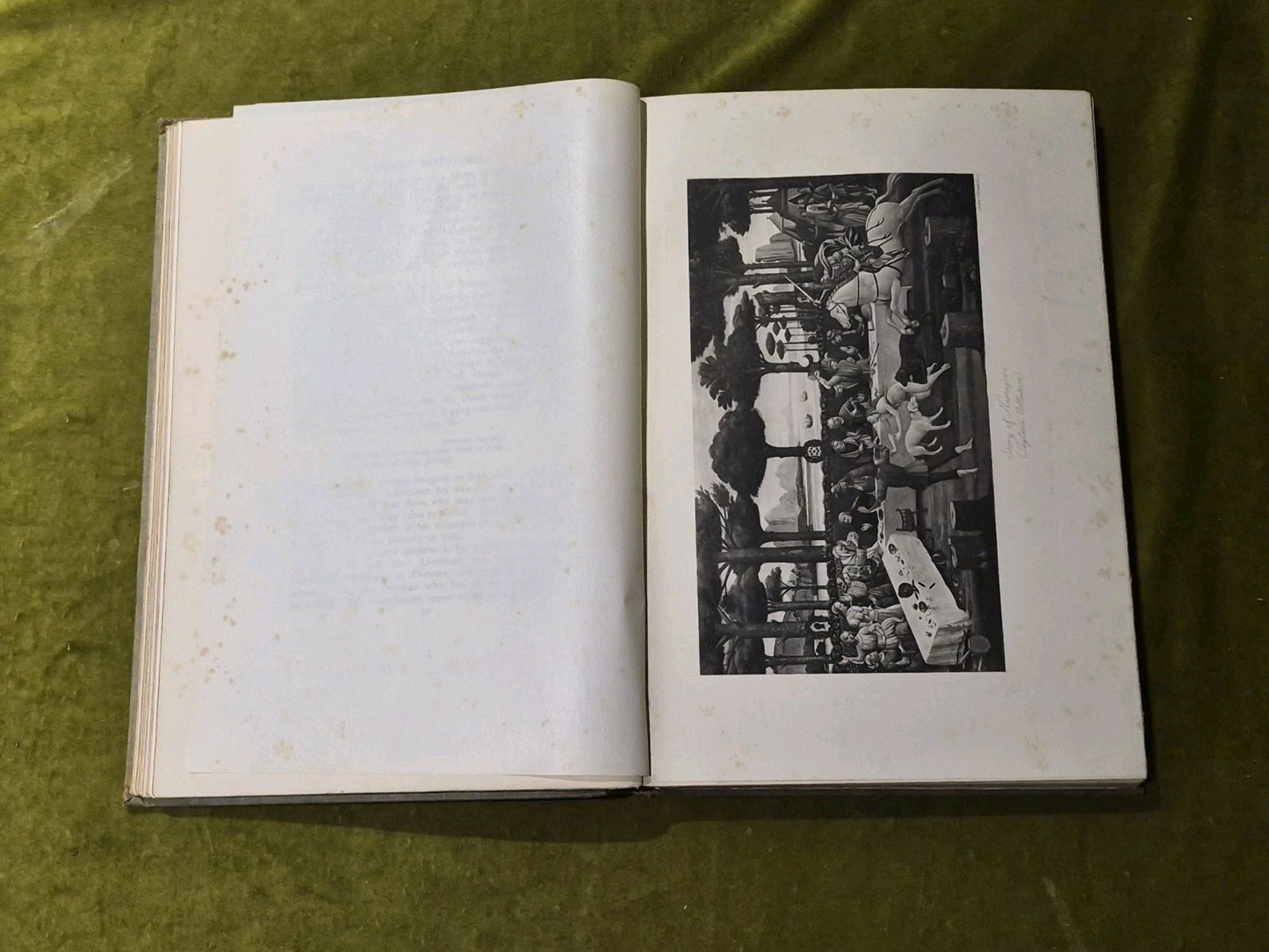 Sandro Botticelli and his School - Count Plunkett - Bell 1900 HB10