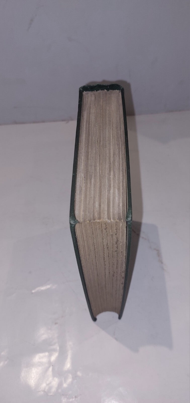 The Medical Diseases of Egypt (Part 1) By F. M. Sandwith (1905) Book1