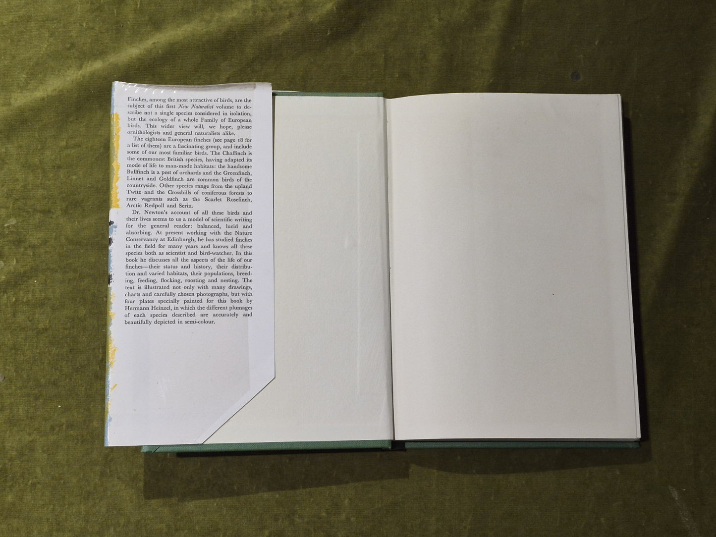 Finches - Ian Newton , Collins 1972 1st Ed HB DJ3