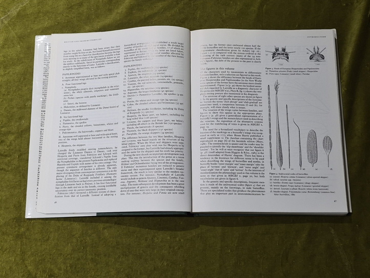 The Moths and Butterflies of Great Britain & Ireland Vol. 7 part 1 - 1989 HB DJ5