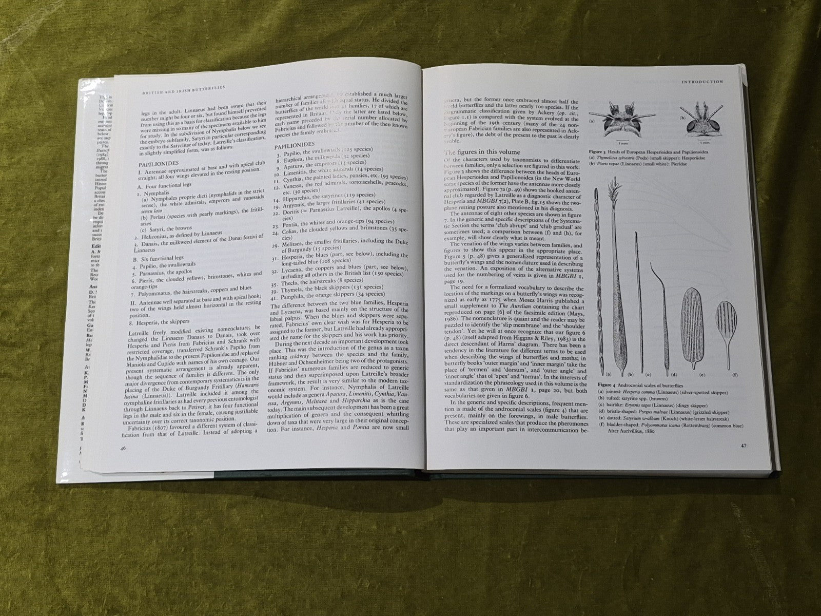 The Moths and Butterflies of Great Britain & Ireland Vol. 7 part 1 - 1989 HB DJ5