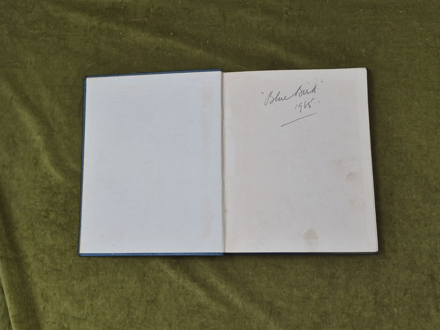 Knots Splices And Fancy Work Chas - L Spencer , Ferguson 1st HB 19343