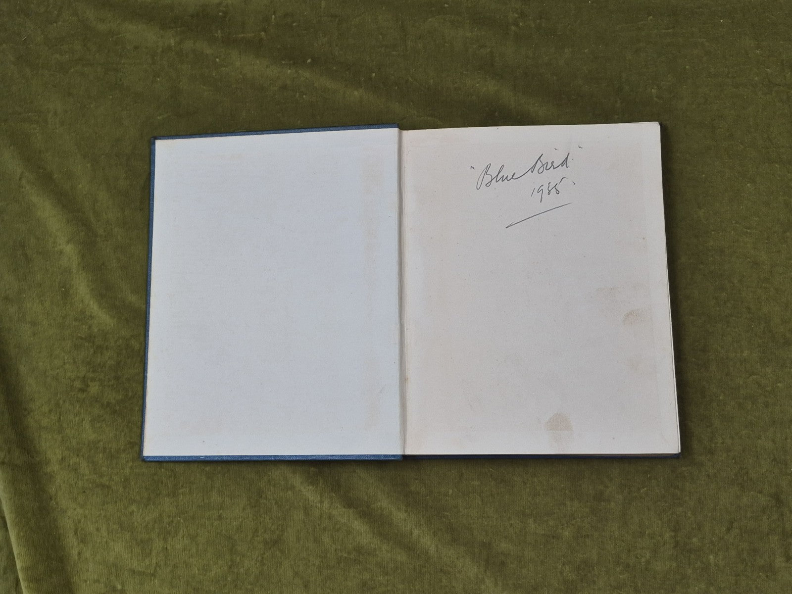 Knots Splices And Fancy Work Chas - L Spencer , Ferguson 1st HB 19343
