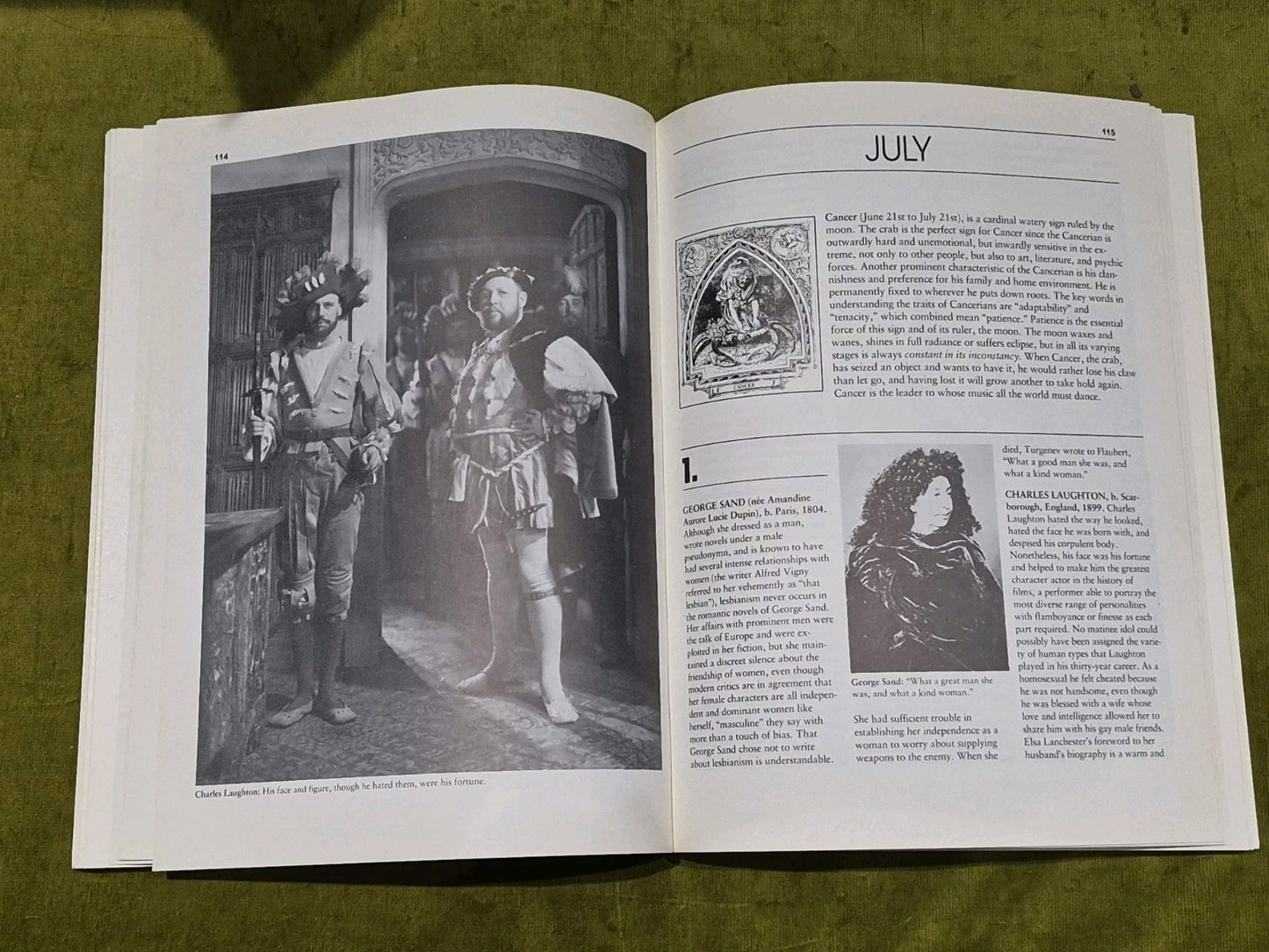 The Gay Book Of Days - Martin Greif (1985) 1st Ed Pb Book4