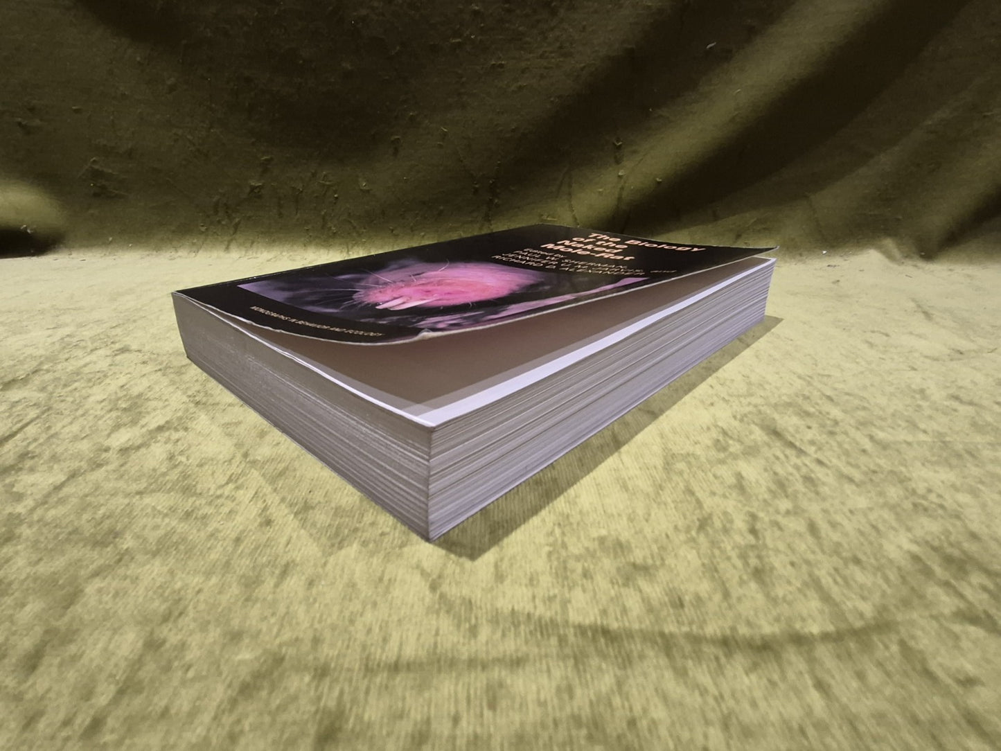 The Biology of the Naked Mole-Rat Paperback Paul W. Sherman3