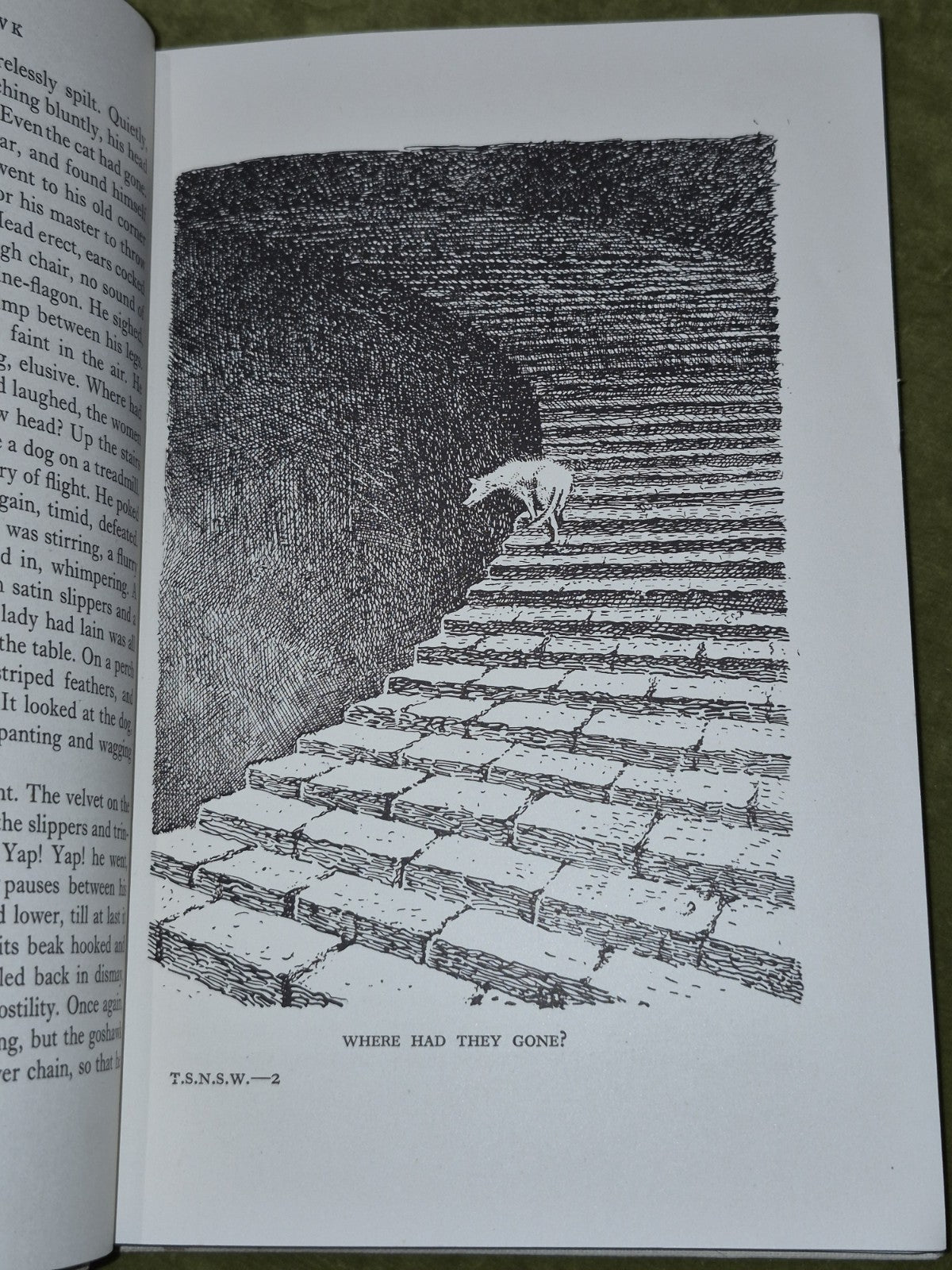 Thou Shalt Not Suffer A Witch and Other Stories Dorothy Haynes 19497