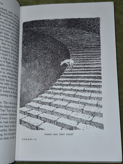 Thou Shalt Not Suffer A Witch and Other Stories Dorothy Haynes 19497