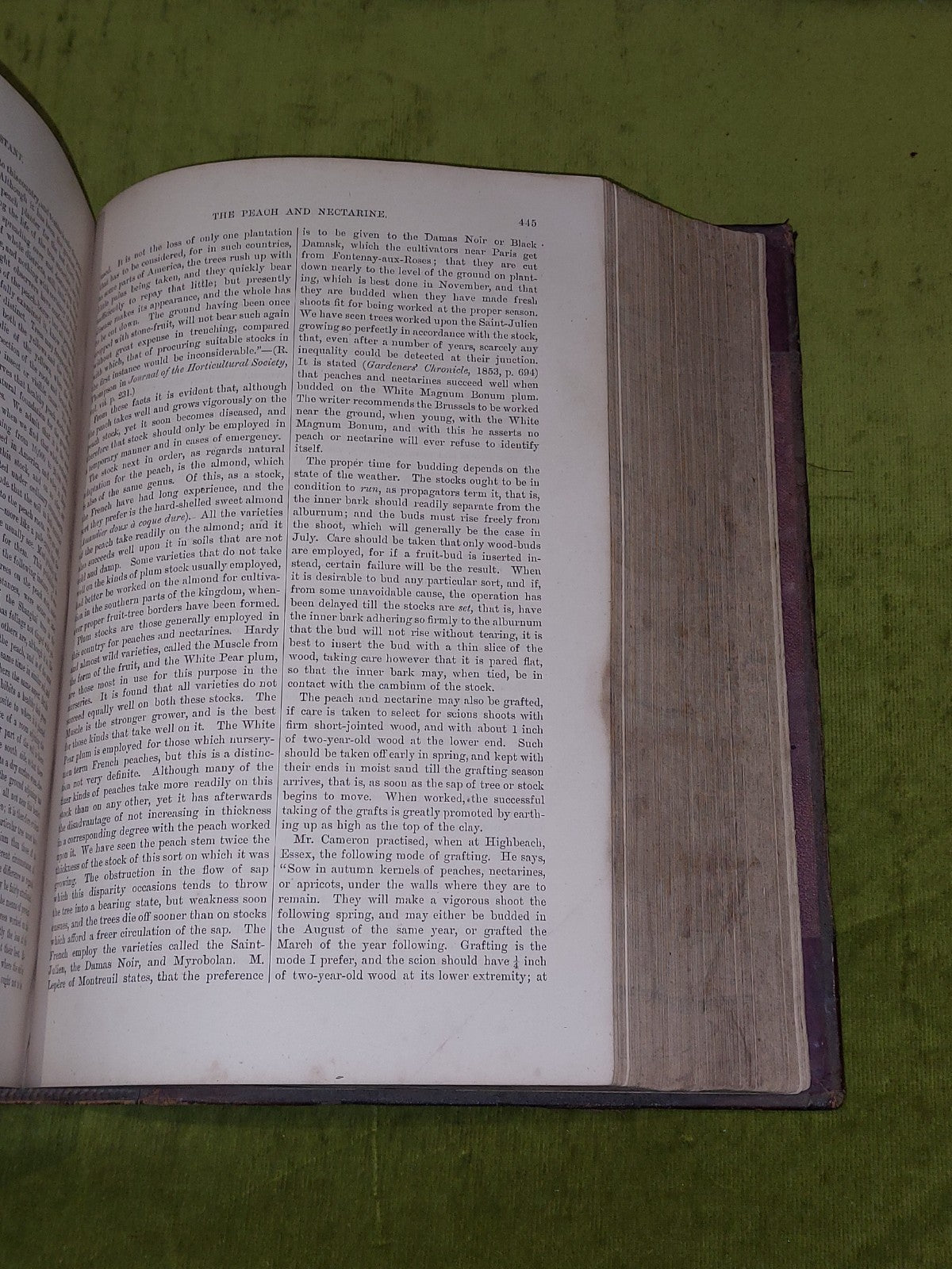 The Gardener’s Assistant Practical and Scientific Gardening 1878 Thompson Moore10