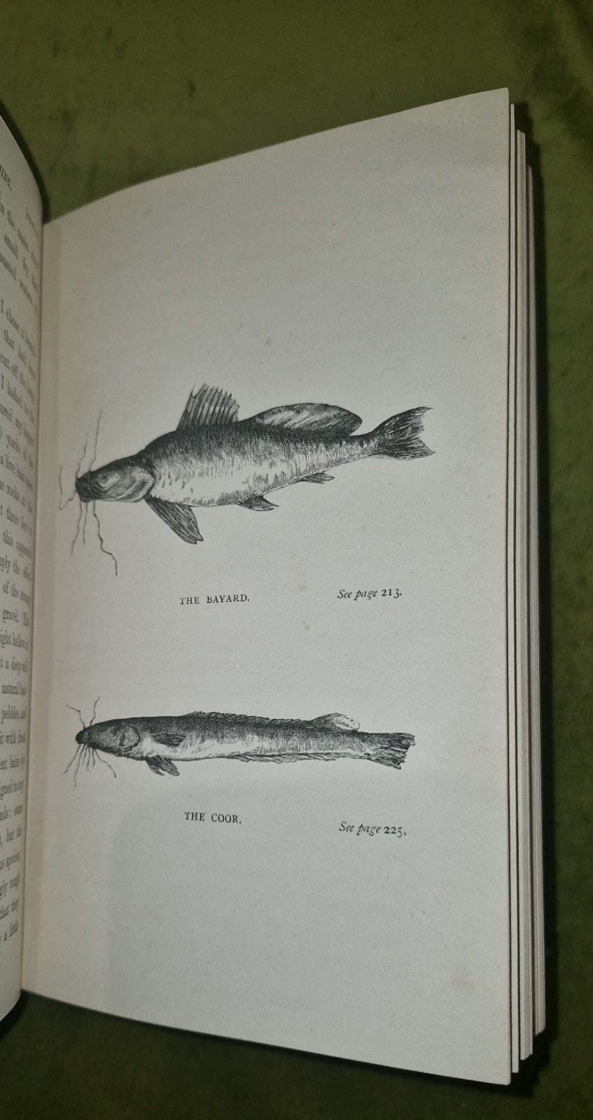 1867 THE NILE TRIBUTARIES OF ABYSSINIA BY BAKER 2 MAPS 24 PLATES & HAMRAN ARABS3