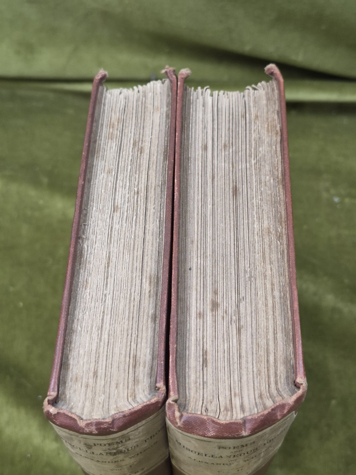 Poems and Literary Prose Alexander Wilson 1876 Alexander Grosart Paisley 2