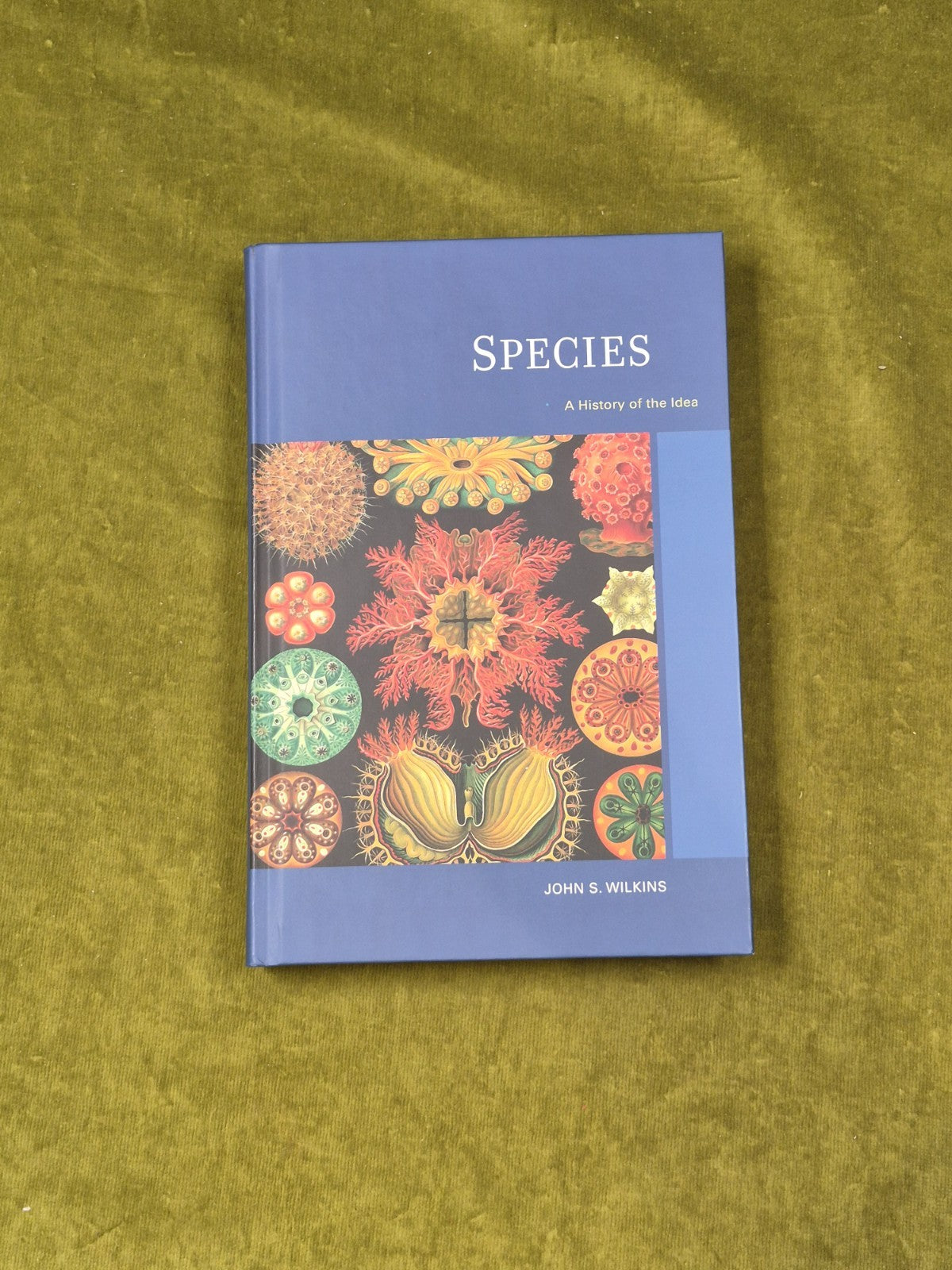 Species : A History of the Idea - John S Wilkins University of California 1st HB0