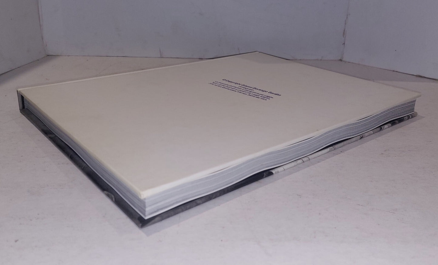 Copyright Gianna Berengo Gardin Fotografo (2001) Hb Book11