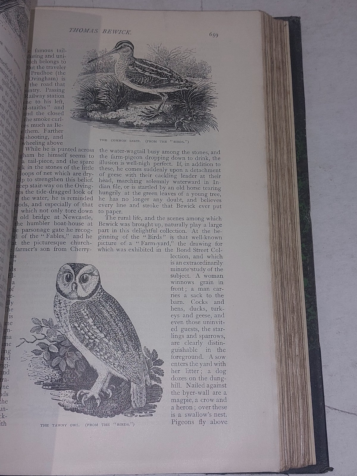 The Century Magazine  May 1882 to October 1882, Quarter Leather Hb Book6