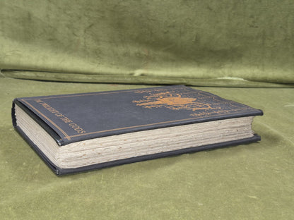 The twilight of the Gods and other tales Richard Garnett John Lane illus 1924 DJ9