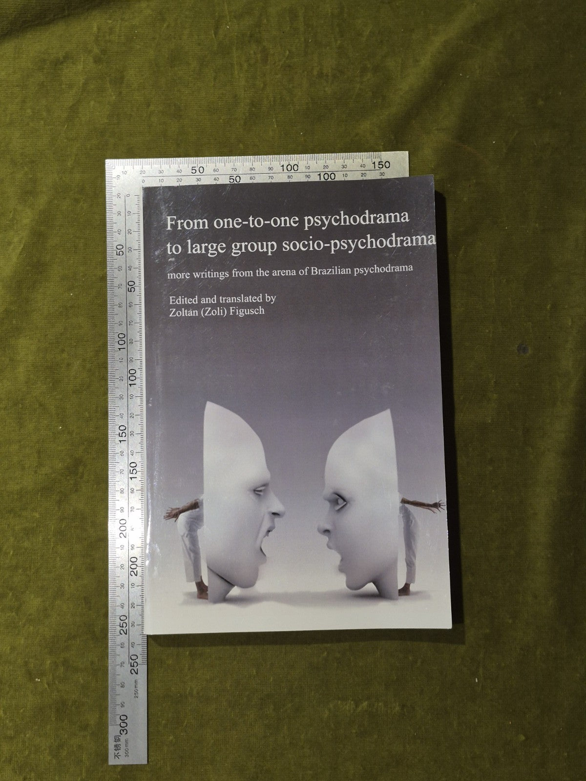 Brazilian Psychodrama , Zoltan Figusch 2009 Paperback3