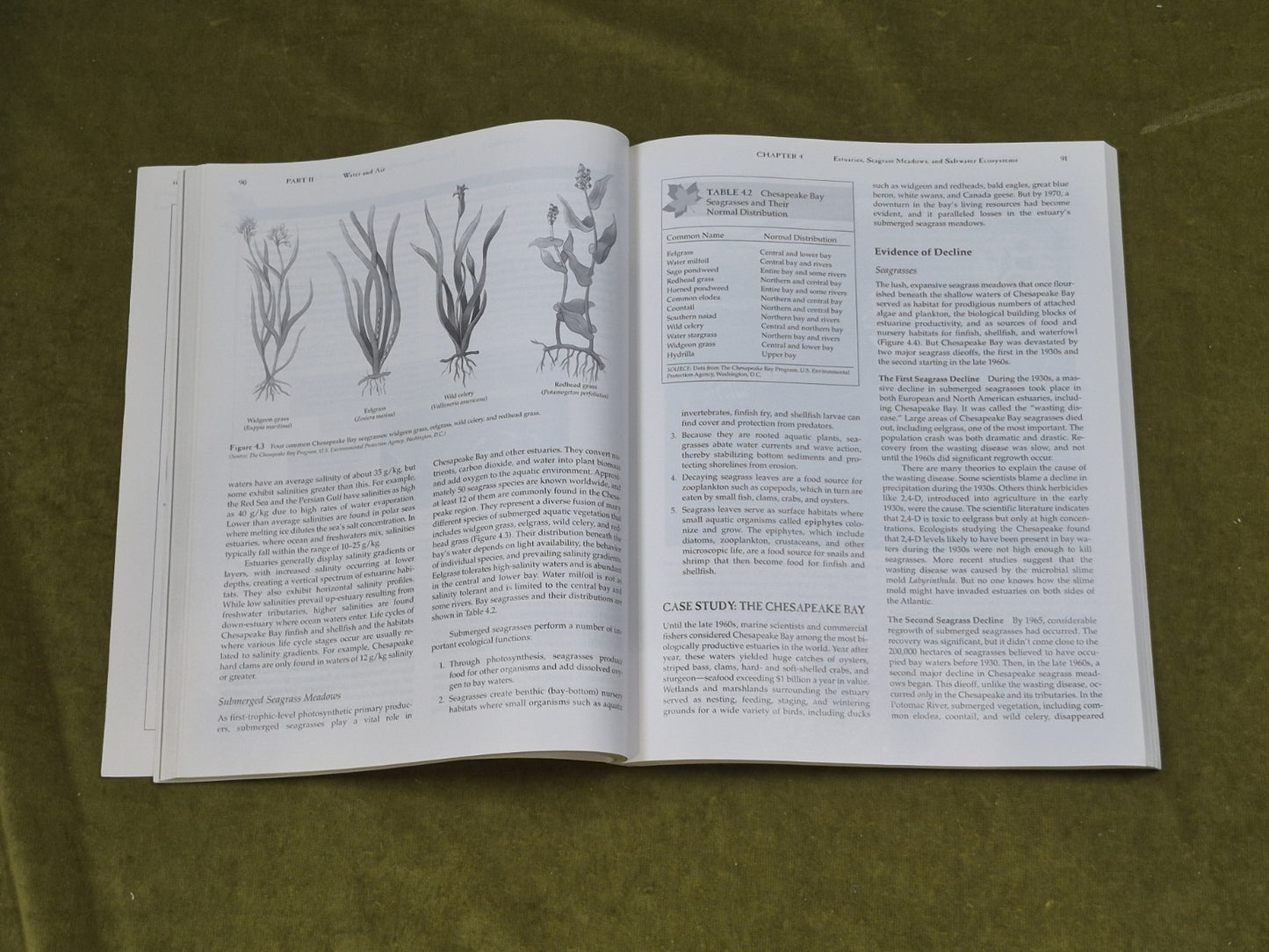Connections in Environmental Science : A Case Study Approach - J. Richard Mayer5