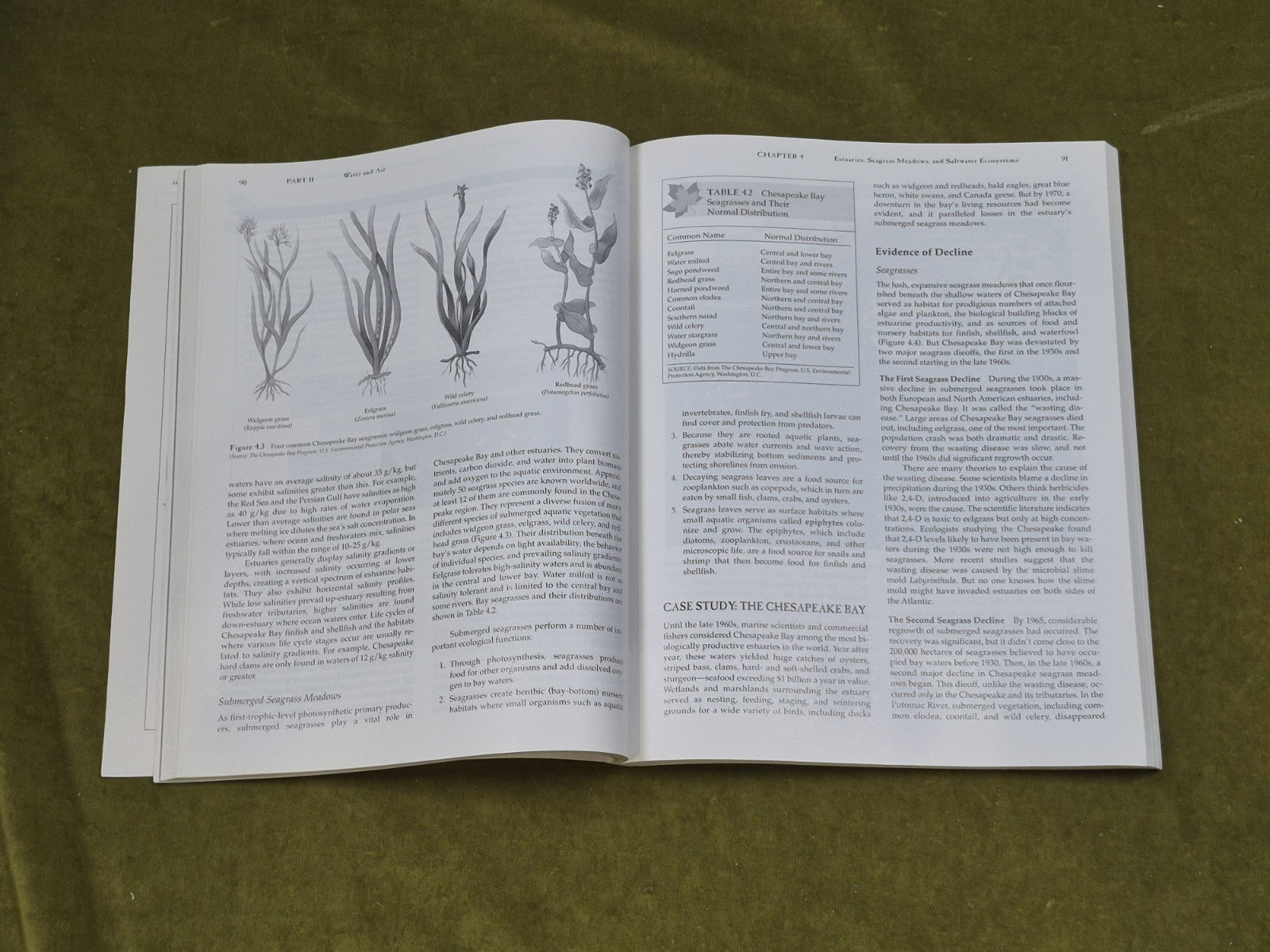 Connections in Environmental Science : A Case Study Approach - J. Richard Mayer5