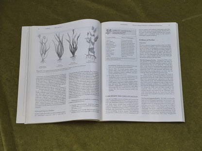 Connections in Environmental Science : A Case Study Approach - J. Richard Mayer5