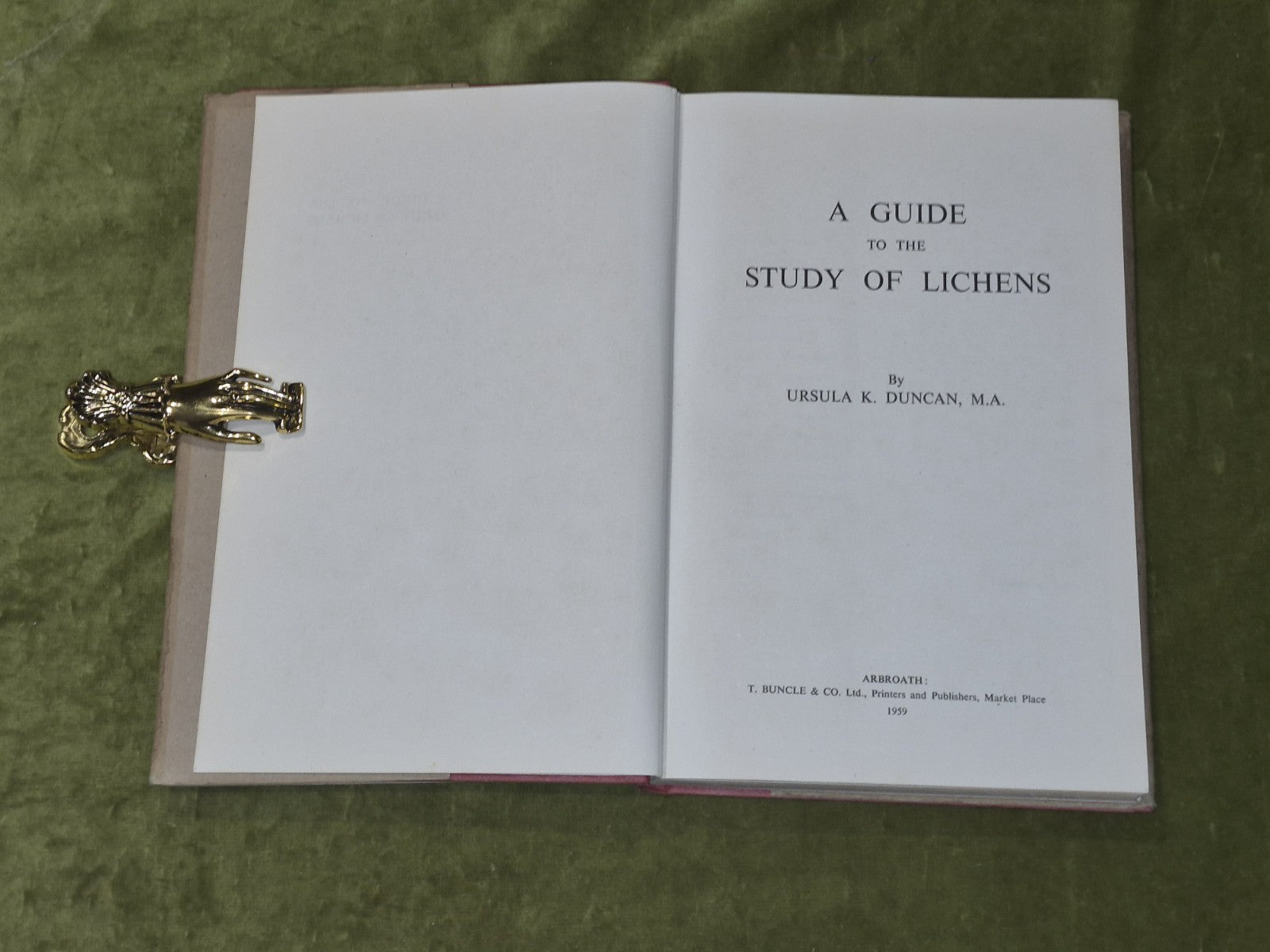 Lichen Illustrations & A Guide to the Study of Lichens0